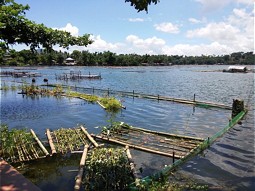  Green Filter - floating platforms in the Sampaloc Lake (Philippines). 