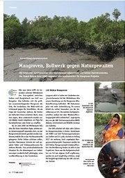  Mangroven, Bollwerk gegen Naturgewalten 