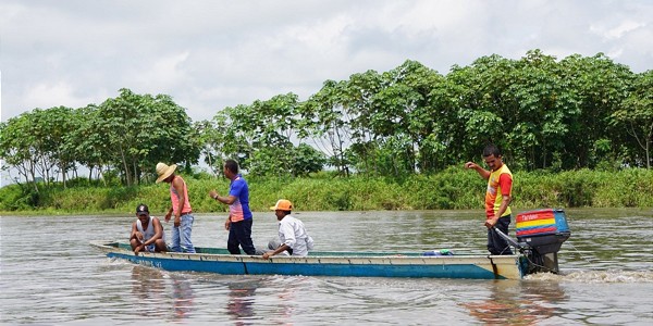  Klimawandel bedroht Fischbestände im Río Magdalena 
