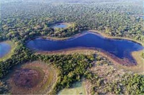  Nachhaltige Entwicklung des Mbaracayú-Waldreservats, Paraguay 