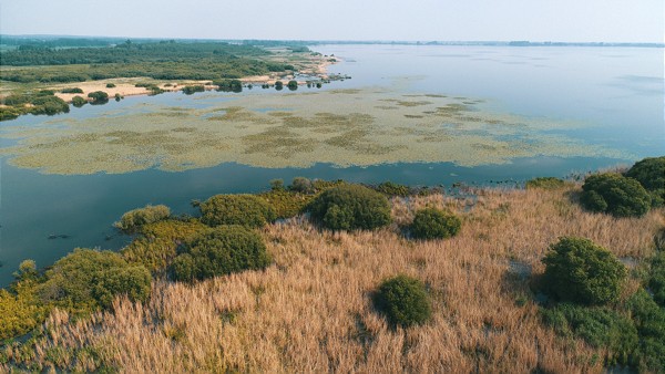  Der Dümmer bietet einer Vielzahl seltener Sumpf- und Wasservögel eine Heimat. 