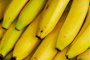  Event für Klima- und Biodiversitätsschutz im Bananenanbau 