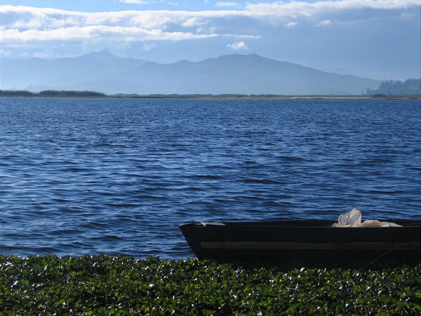  2011 war der Laguna de Fúquene in Kolumbien bereits berohter See des Jahres, Landwirtschaft, Toursimus und Bevölkerungswachstum setzen ihn nach wie vor stark unter Druck. 