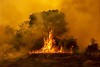 World Heritage in Flames: The Pantanal is "Threatened Lake of the Year 2021"