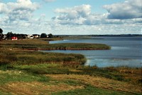 Europe's waters have a new friend: NGOs launch ELLA to protect lakes and wetlands